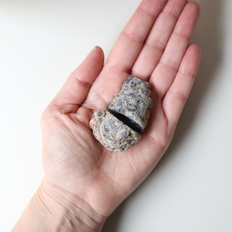 Dark Grey Agate Geode (46g)