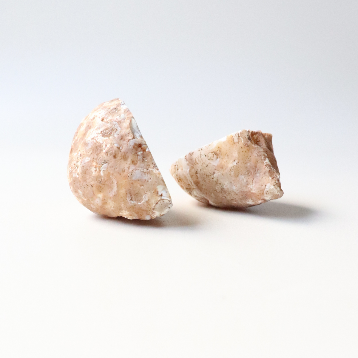 Earthy Toned Agate Geode (95g) - Balance &amp; Stability