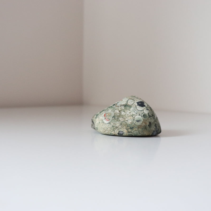 Rainforest Jasper Tumble 69g - Growth &amp; Connection