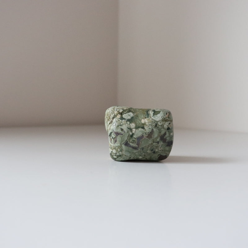 Rainforest Jasper Tumble 78g - Growth &amp; Connection