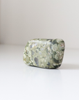 Rainforest Jasper Tumble 67g - Growth & Connection