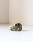 Rainforest Jasper Tumble 62g - Growth & Connection