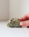 Rainforest Jasper Tumble 55g - Growth & Connection