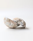 Grey Agate Geode with Sparkling Cave (68g) - Balance & Stability