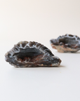 Agate Geode (45g) - Balance & Stability