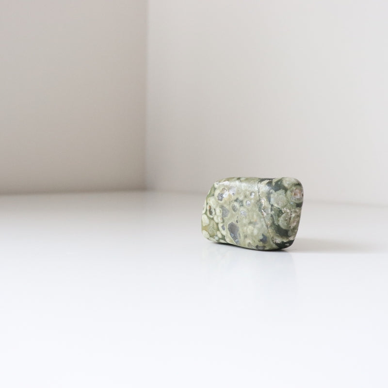 Rainforest Jasper Tumble 67g - Growth &amp; Connection