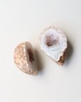 Earthy Toned Agate Geode (95g) - Balance & Stability