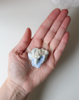 Mini Kyanite Raw Crystal (45g)