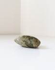Rainforest Jasper Tumble 67g Flat Shape - Growth & Connection