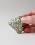 Rainforest Jasper Tumble 49g - Growth & Connection