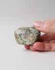 Rainforest Jasper Tumble 62g - Growth & Connection