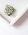 Rainforest Jasper Tumble 49g - Growth & Connection
