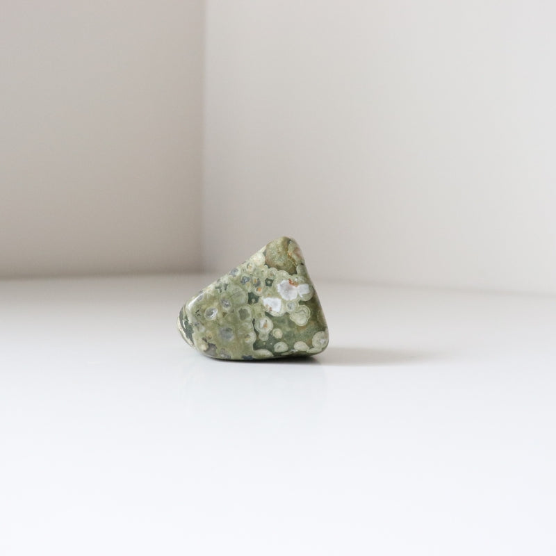 Rainforest Jasper Tumble 67g - Growth &amp; Connection