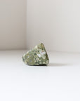Rainforest Jasper Tumble 67g - Growth & Connection