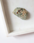 Rainforest Jasper Tumble 55g - Growth & Connection