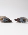 Agate Geode (46g) - Balance & Stability