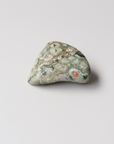 Rainforest Jasper Tumble 49g - Growth & Connection