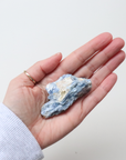 Kyanite 65g - Alignment & Clarity