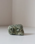 Rainforest Jasper Tumble 78g - Growth & Connection