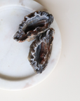 Agate Geode (45g) - Balance & Stability