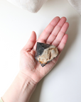 Semi-Polished Black Onyx  (155g)
