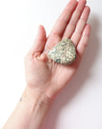 Rainforest Jasper Tumble 49g - Growth & Connection