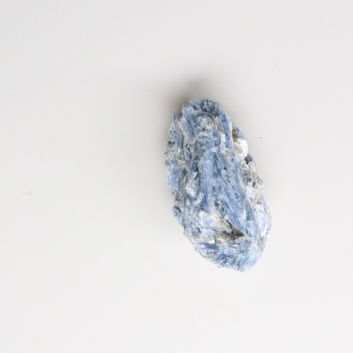Collection Image