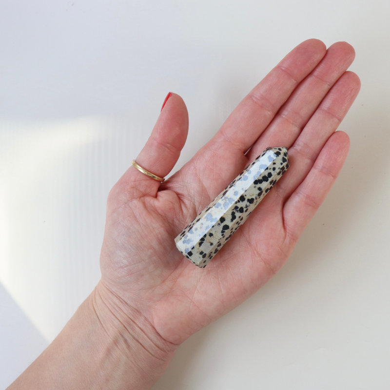Dalmatian Jasper Polished Point  (45g)