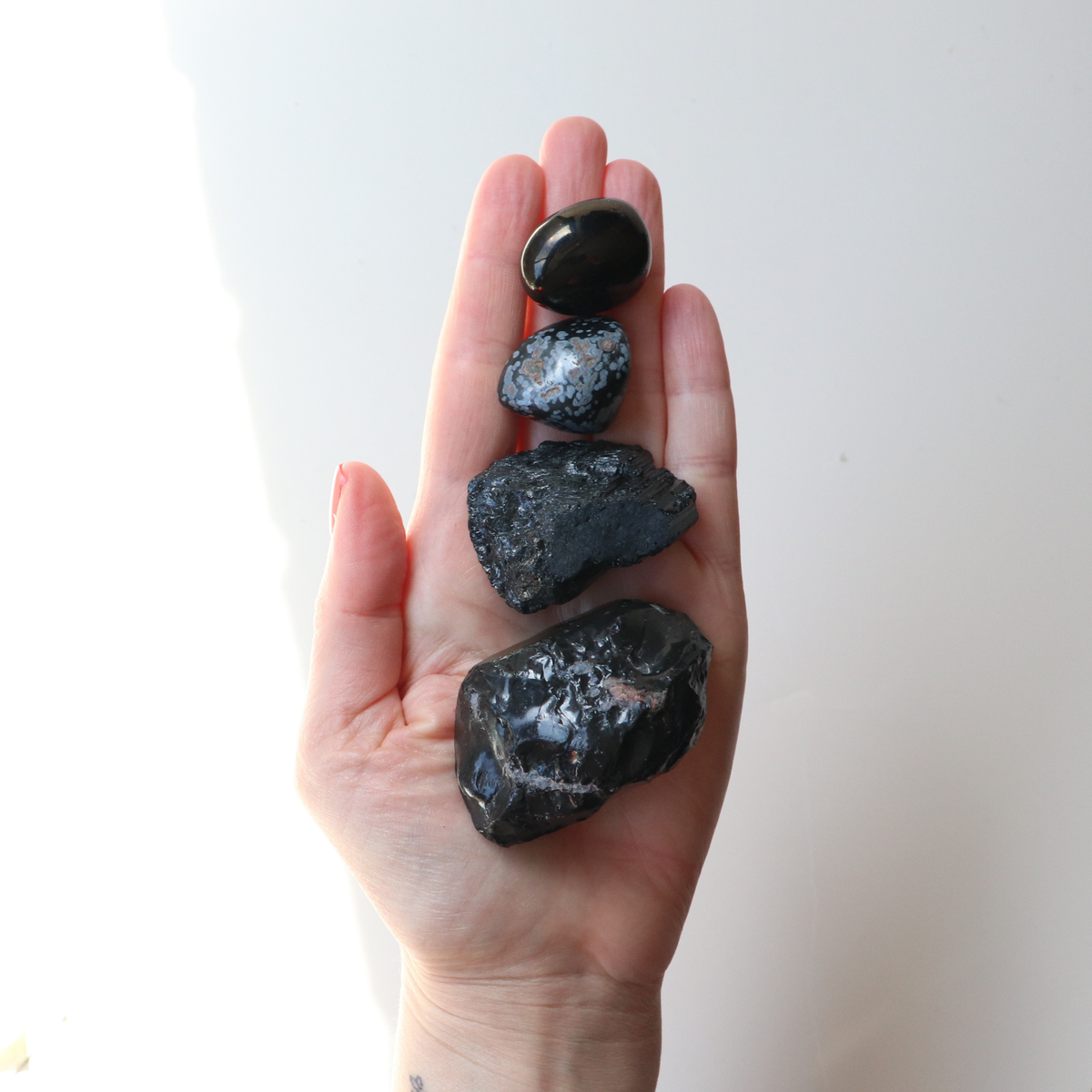 Black &amp; Grounding Collection