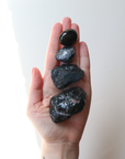Black & Grounding Collection