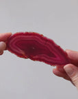 Pink Agate Slice