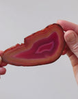 Pink Agate Slice
