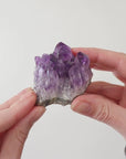 Amethyst Cluster