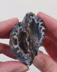 Agate Geode (45g) - Balance & Stability