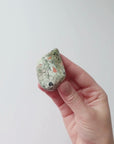 Rainforest Jasper Tumble 69g - Growth & Connection