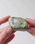 Rainforest Jasper Tumble 67g - Growth & Connection