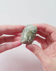 Rainforest Jasper Tumble 78g - Growth & Connection