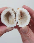 Agate Geode (57g) - Balance & Stability